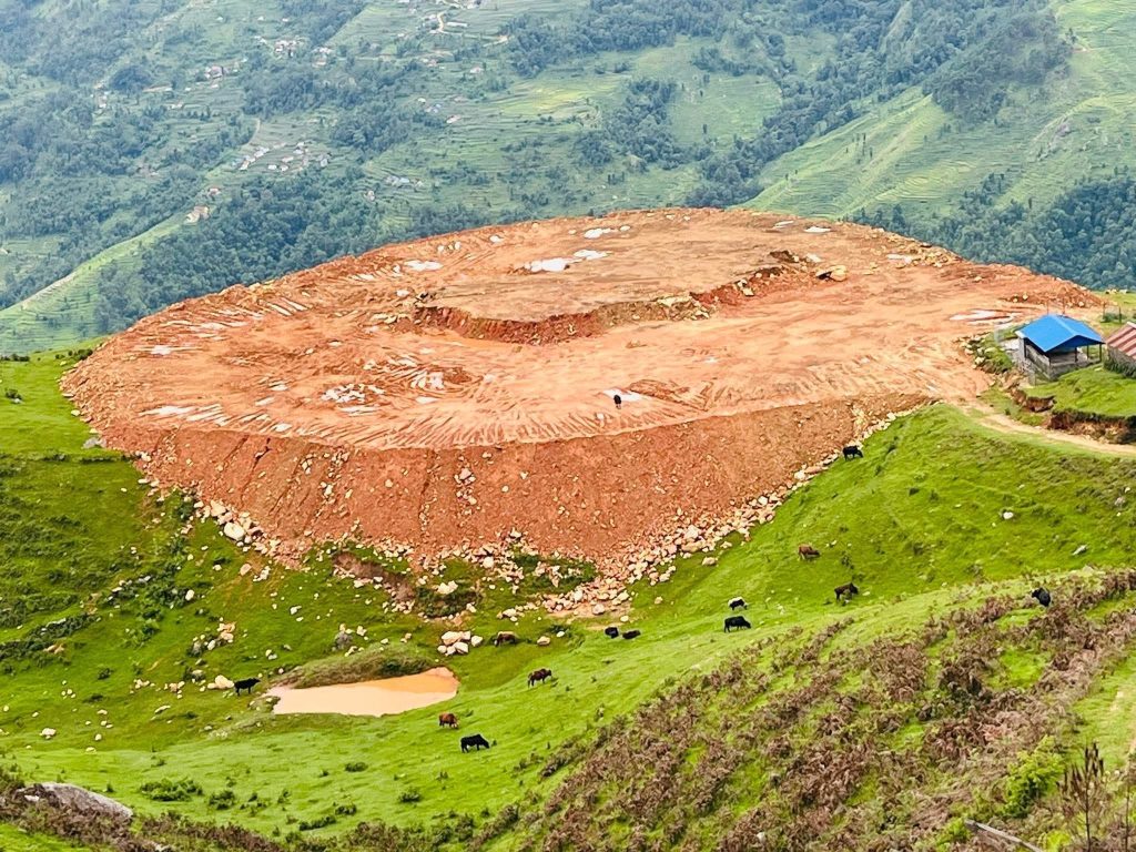 Cricket-1-1752299512